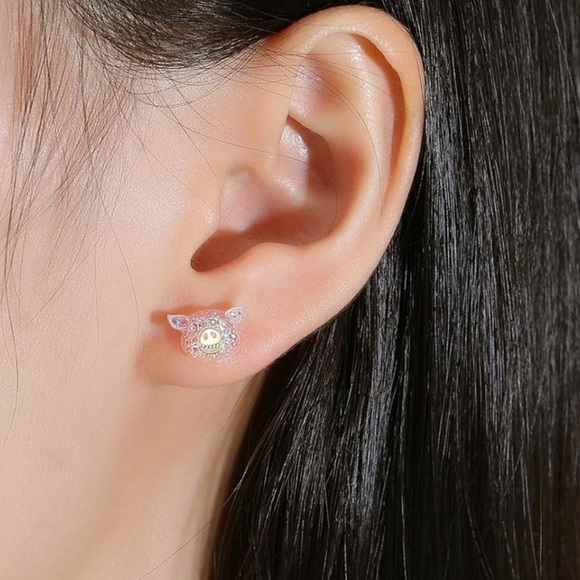 BNWT KMEOSCH 2 Pairs Plastic Bling Pig Head Earrings Studs for Sensitive Ears - Picture 3 of 5